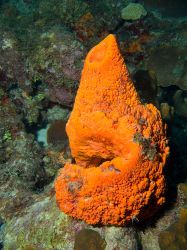 Slangenbaai_rechts_20150603_002