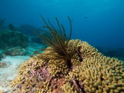 Slangenbaai_rechts_20150603_007