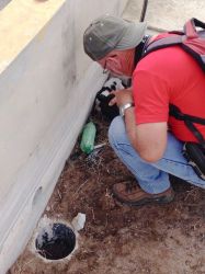 Malpais_20160703_046a