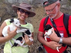 Malpais_20160703_050