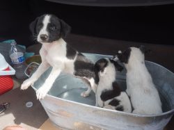 Malpais_20160703_052