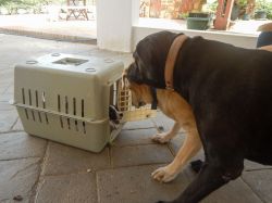 Milky_aankomst_20160708_002