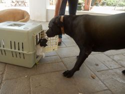 Milky_aankomst_20160708_004