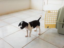 Milky_aankomst_20160708_008