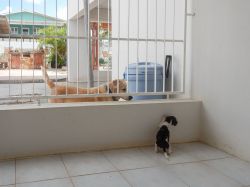 Milky_aankomst_20160708_009