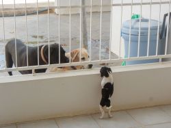 Milky_aankomst_20160708_011