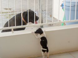 Milky_aankomst_20160708_013