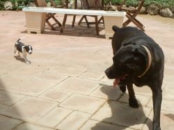 Milky_aankomst_20160708_017