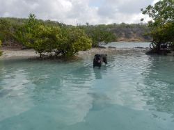 Milky_zwemles_20161017_004