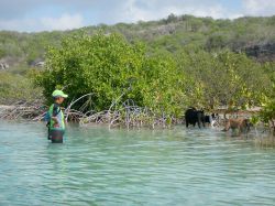 Milky_zwemles_20161017_007