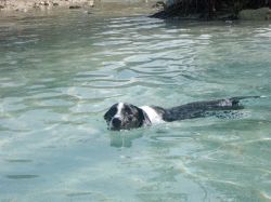 Milky_zwemles_20161017_008