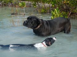 Milky_zwemles_20161017_012