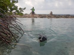 Milky_zwemles_20161017_015