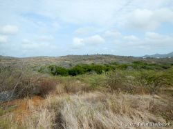 Rooi_Magdalena_20170608_017