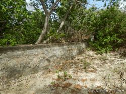 Rooi_Magdalena_20170608_029