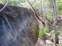 Rooi_Magdalena_20170608_032