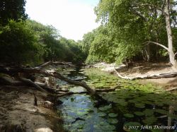 Rooi_Magdalena_20170608_044