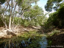 Rooi_Magdalena_20170608_046