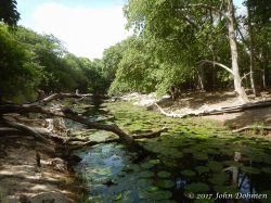 Rooi_Magdalena_20170608_050