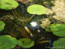 Rooi_Magdalena_20170608_052