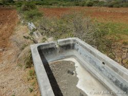 Rooi_Magdalena_20170608_062