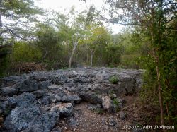 Vaersenbaai-BocaSami_20170601_004