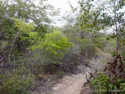 Vaersenbaai-BocaSami_20170601_010