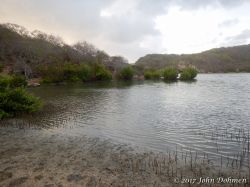 Vaersenbaai-BocaSami_20170601_022