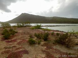 Vaersenbaai-BocaSami_20170601_024