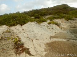 Vaersenbaai-BocaSami_20170601_025