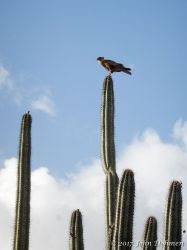 Vaersenbaai-BocaSami_20170601_034