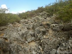 Vaersenbaai-BocaSami_20170601_038