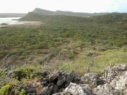 Vaersenbaai-BocaSami_20170601_039