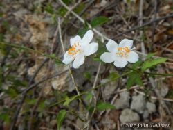 Vaersenbaai-BocaSami_20170601_046