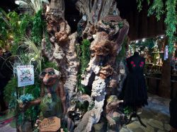 Vakantie_Nederland_2015_138