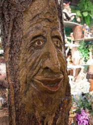 Vakantie_Nederland_2015_144