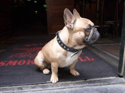 Vakantie_Nederland_2015_158