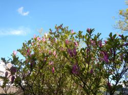 Vakantie_Nederland_2015_192