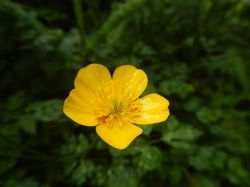 Vakantie_Nederland_2015_276