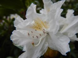 Vakantie_Nederland_2015_279